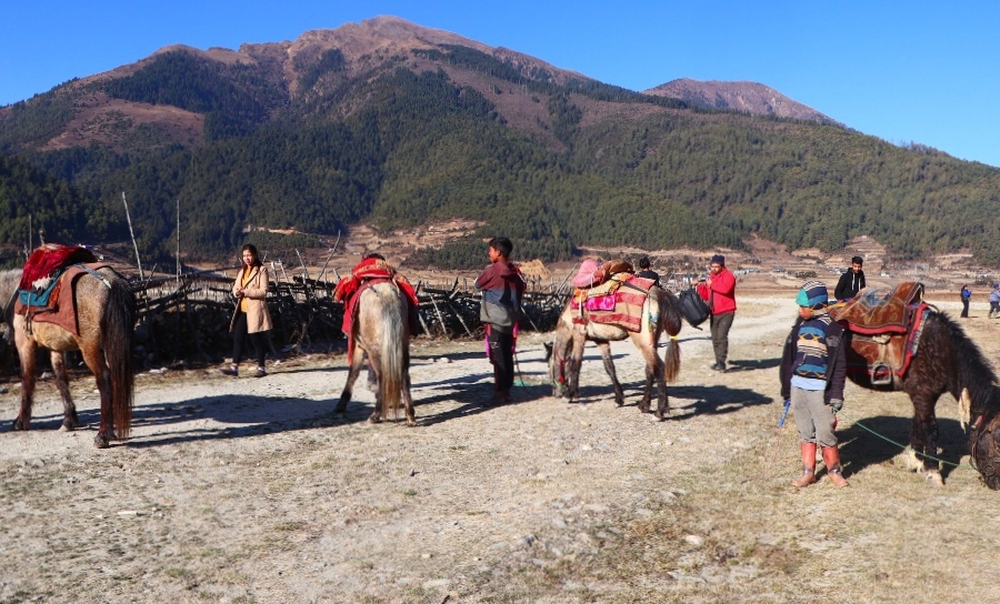 ढोरपाटनमा जाडो याममै पर्यटकको चहलपहल बढ्यो