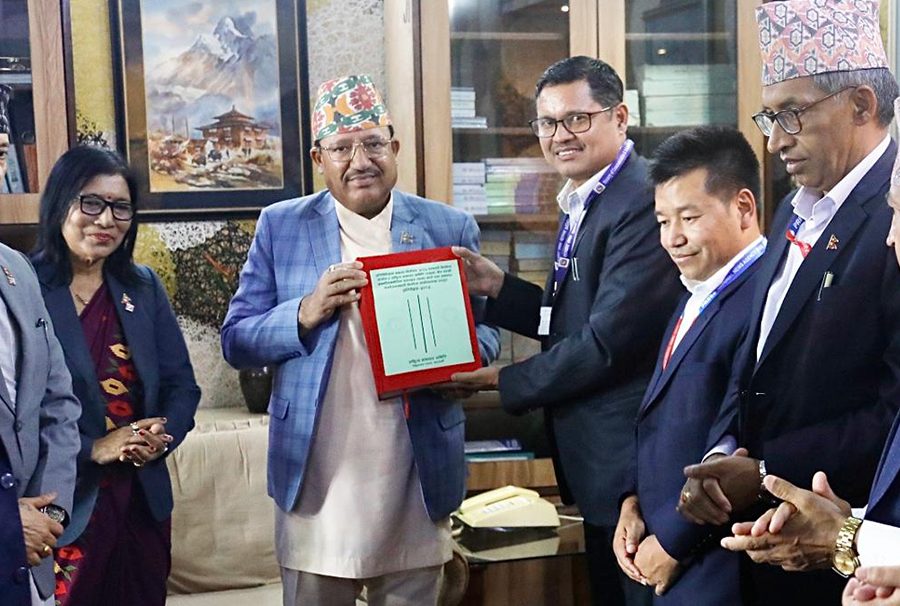 निर्वाचनसम्बन्धी प्रतिवेदन आयोगसमक्ष प्रस्तुत