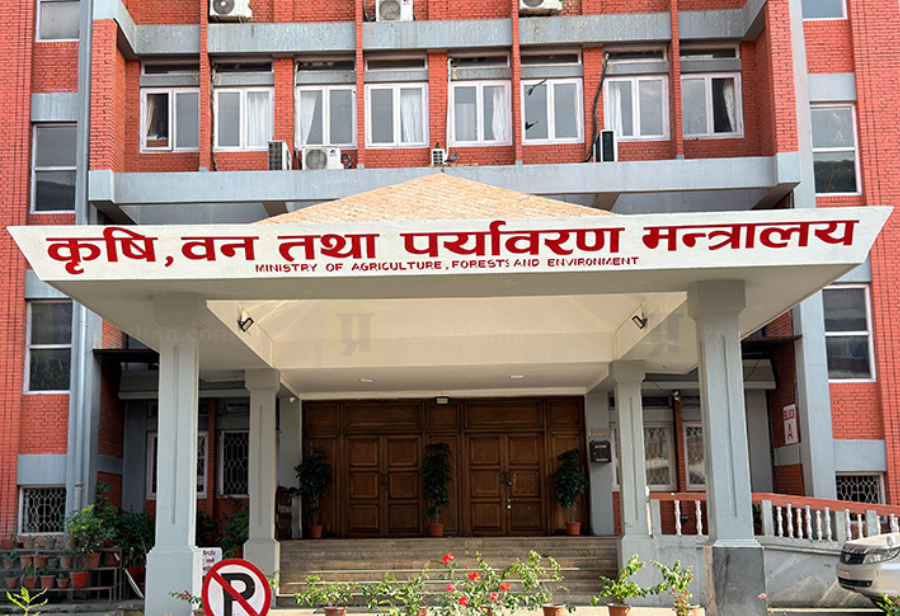 चैते धानको न्यूनतम समर्थन मूल्य कार्यान्वयन गर्न मन्त्रालयको आग्रह