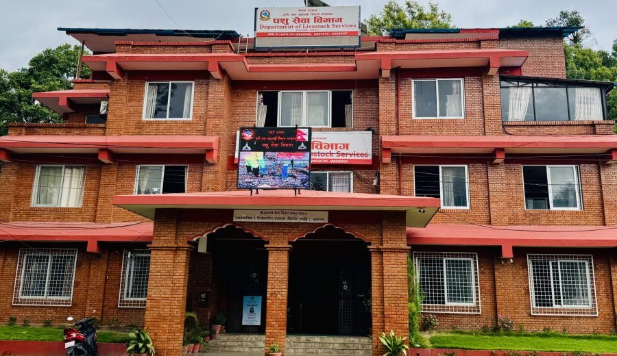 साउन १ गतेदेखि बर्डफ्लुको सङ्क्रमण देखिएको छैन : पशु सेवा विभाग