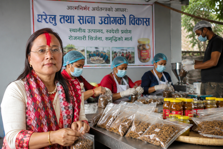 आत्मनिर्भर अर्थतन्त्रको आधार र घरेलु तथा साना उद्योगको विकास